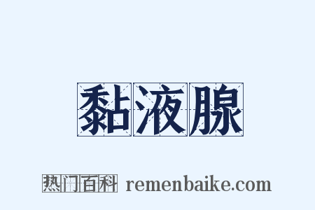 黏液腺是什么意思的图片